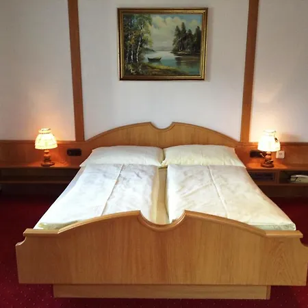 Hotel Rupertihaus