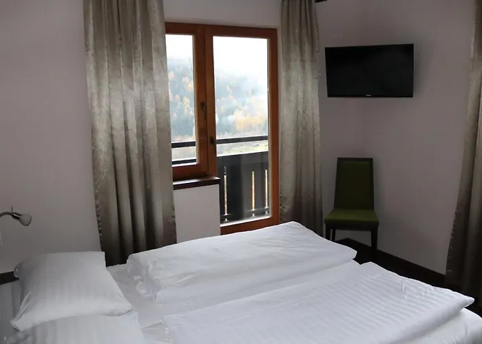 Rupertihaus מלון 3*